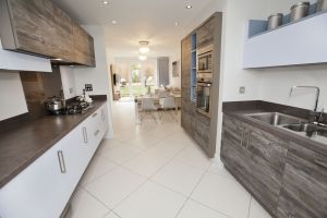 apperley the thirston 6 sm.jpg